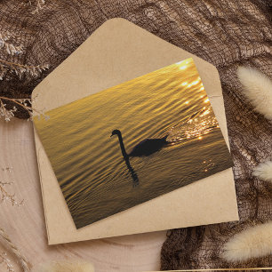 Golden Svan Papper
