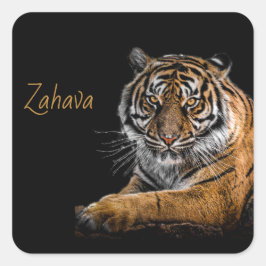 Golden Tiger Sticker Fyrkantigt Klistermärke