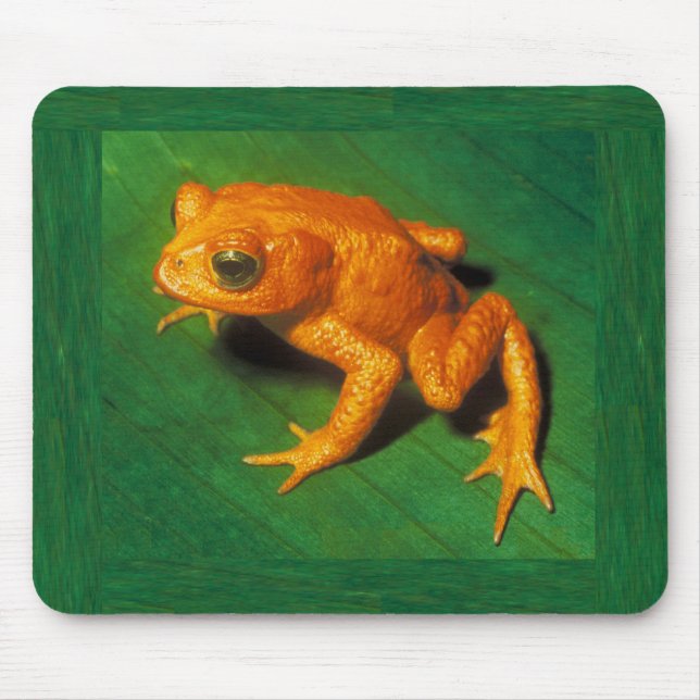 Golden Toad Mousepad Musmatta (Framsidan)