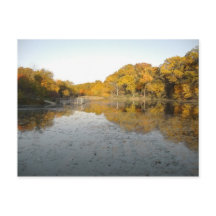 Golden Träd och Pond ... Foto från hösten 2004