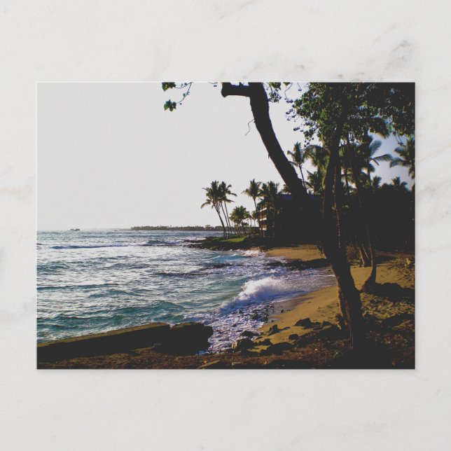 Golden Tropical Sand Vykort (Framsida)