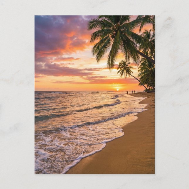 Golden Tropical Sunset Beach Postcard Vykort (Framsida)