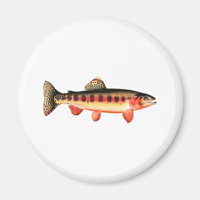 Golden Trout Magnet (Framsidan)