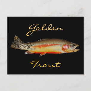 Golden Trout, Östra Sierra Fishing, vykort