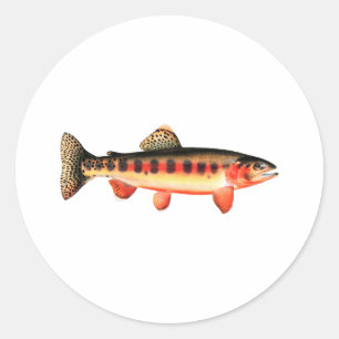 Golden Trout Runt Klistermärke