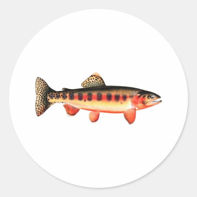 Golden Trout Runt Klistermärke (Framsida)