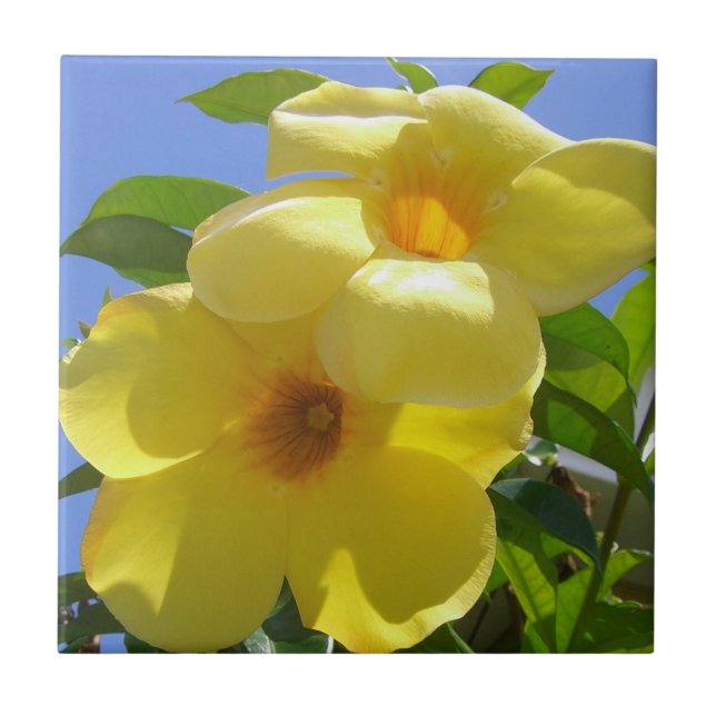 Golden Trumpet Flowers I Kakelplatta (Framsidan)