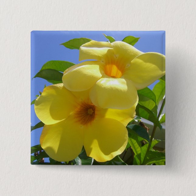 Golden Trumpet Flowers I Knapp (Framsida)