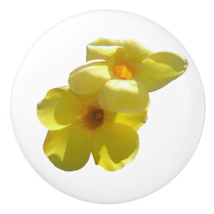 Golden Trumpet Flowers I Knopp