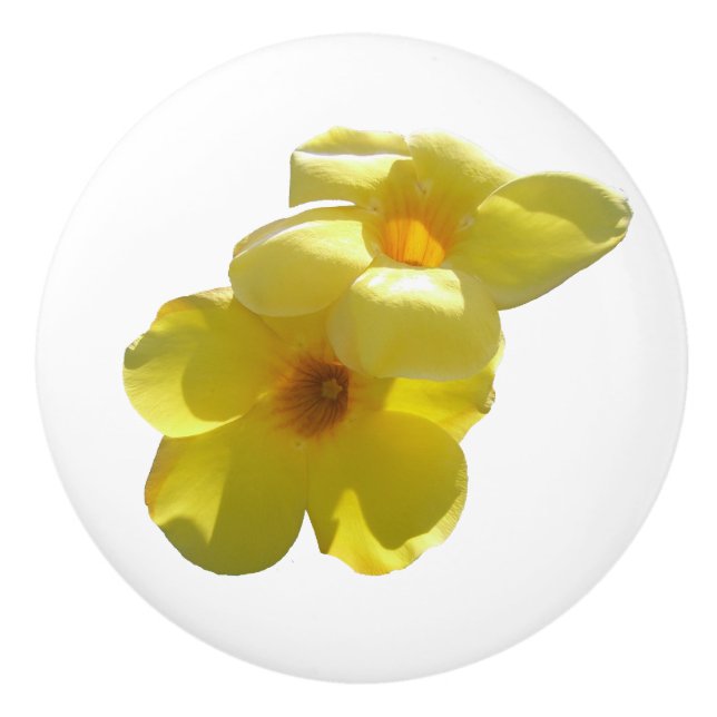 Golden Trumpet Flowers I Knopp (Framsidan)