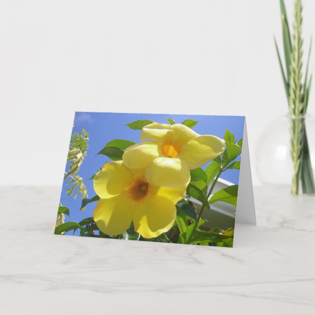 Golden Trumpet Flowers I Kort (Framsida)