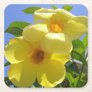 Golden Trumpet Flowers I Underlägg Papper Kvadrat