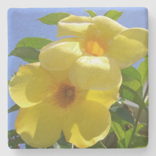 Golden Trumpet Flowers I Underlägg Sten