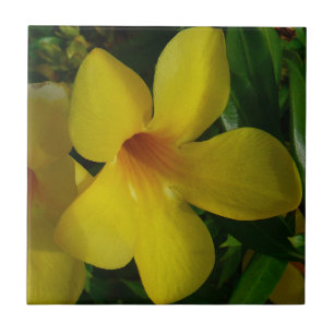 Golden Trumpet Flowers II Tropical Kakelplatta