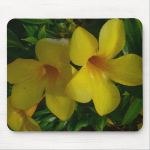 Golden Trumpet Flowers II Tropical Musmatta