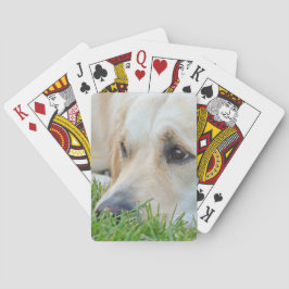 Golden Valp Spel Kort