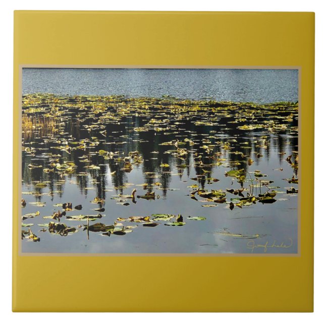 Golden Vatten Kakelplatta (Framsidan)