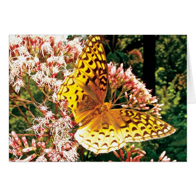 Golden Vingar Hälsningskort (Framsidan Horizontal)