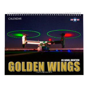 GOLDEN VINGAR - US Naval Aviation Kalender