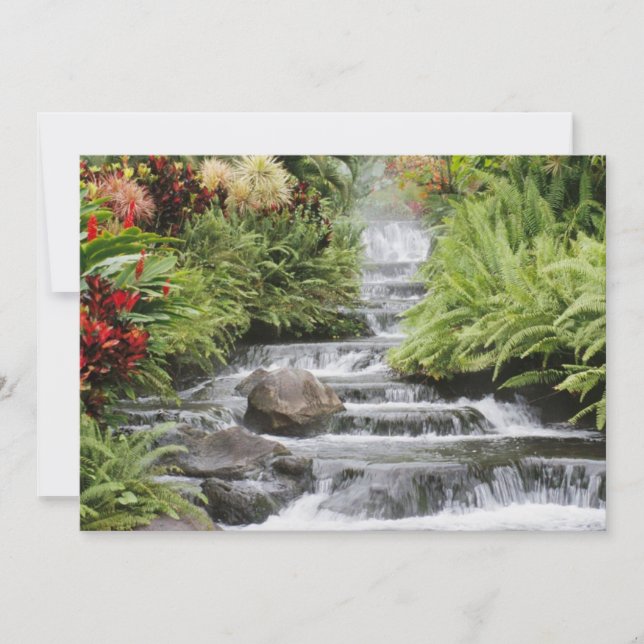 Golden Waterfall (Framsida)