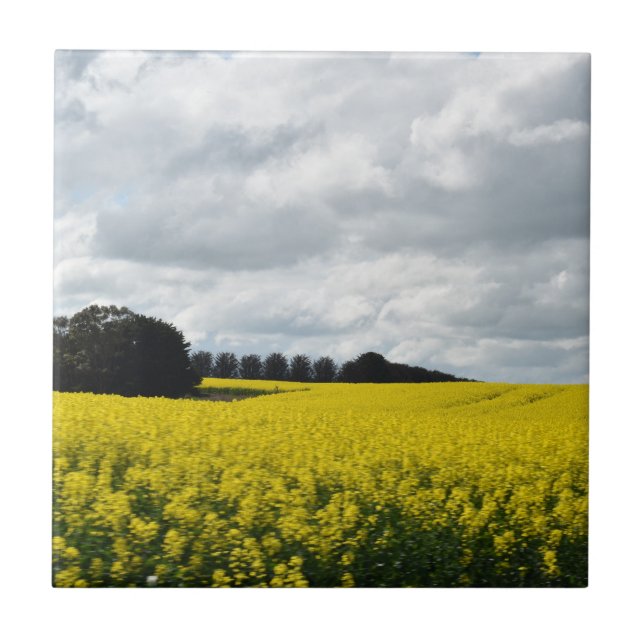 Golden Waves of Streatham Kakelplatta (Framsidan)