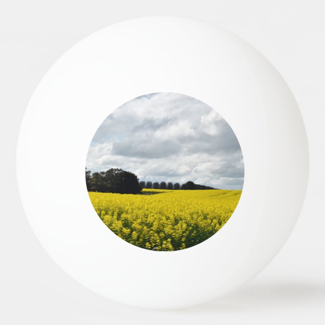 Golden Waves of Streatham Pingisboll (Framsidan)