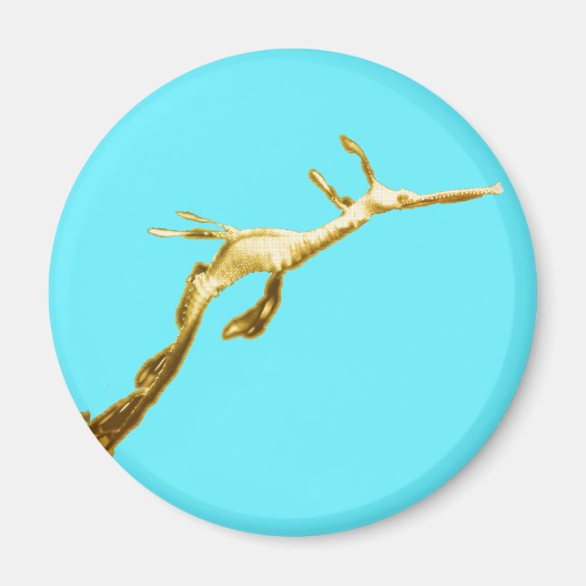 Golden Weedy Sea Dragon Magnet (Framsidan)