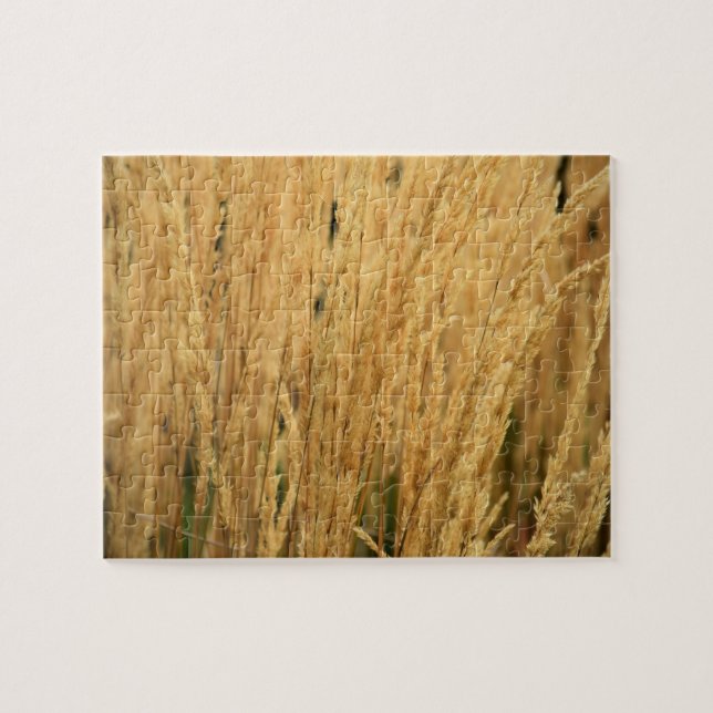 Golden Wheat Fält - 8 x 10 - 110 pcs Pussel (Horisontell)