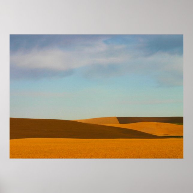 Golden Wheat Fält i Palouse-regionen Poster (Framsidan)