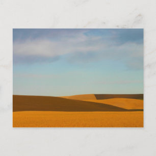 Golden Wheat Fält i Palouse-regionen Vykort