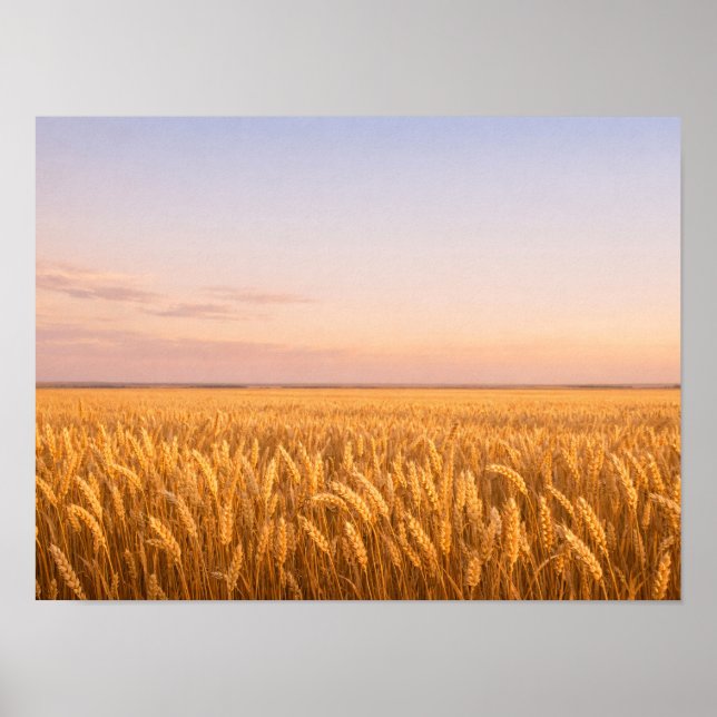 Golden Wheat Field at Pastel Sunset Landscape Poster (Framsidan)