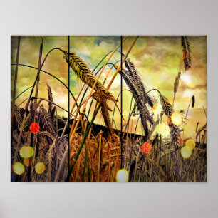 Golden Wheat Gnistra Poster