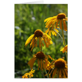 Golden Wildblommor OBS Kort
