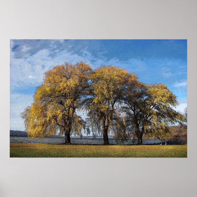 Golden Willows Poster (Framsidan)