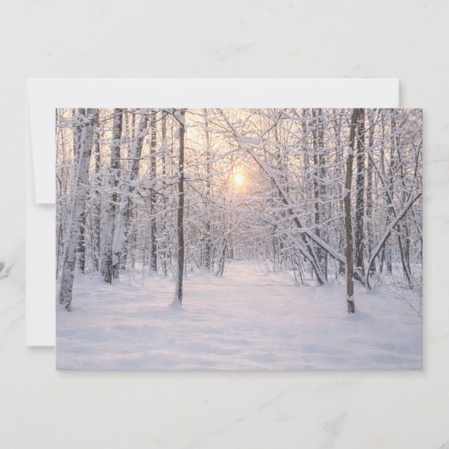 Golden_winter_light Inbjudningar (Framsida)