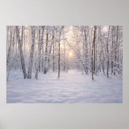 Golden_winter_light Poster
