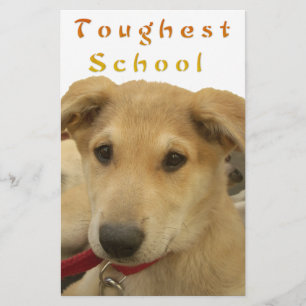 Golden Wisdom: A Hund's-Öga View of Life's School