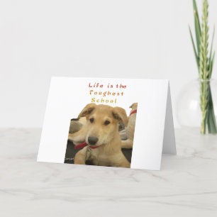 Golden Wisdom: A Hund's-Öga View of Life's School Kort