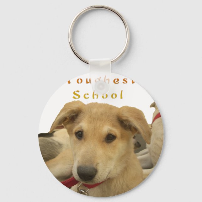 Golden Wisdom: A Hund's-Öga View of Life's School Nyckelring (Framsida)