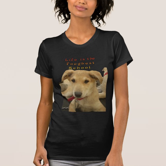Golden Wisdom: A Hund's-Öga View of Life's School T Shirt (Framsida)