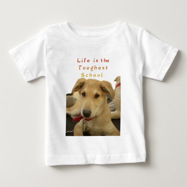 Golden Wisdom: A Hund's-Öga View of Life's School T Shirt (Framsida)