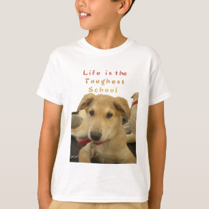 Golden Wisdom: A Hund's-Öga View of Life's School Tee
