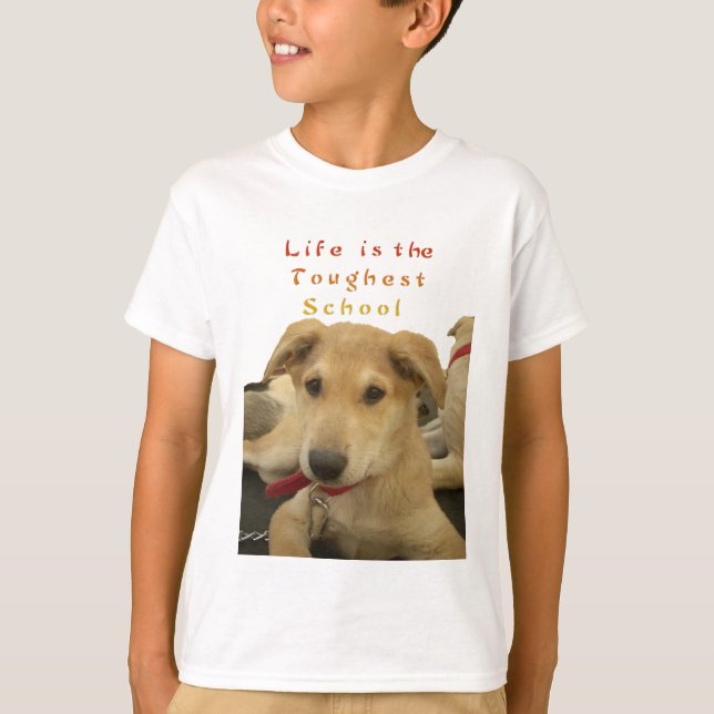 Golden Wisdom: A Hund's-Öga View of Life's School Tee (Framsida)