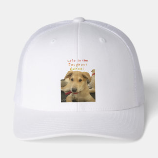 Golden Wisdom: A Hund's-Öga View of Life's School Truckerkeps