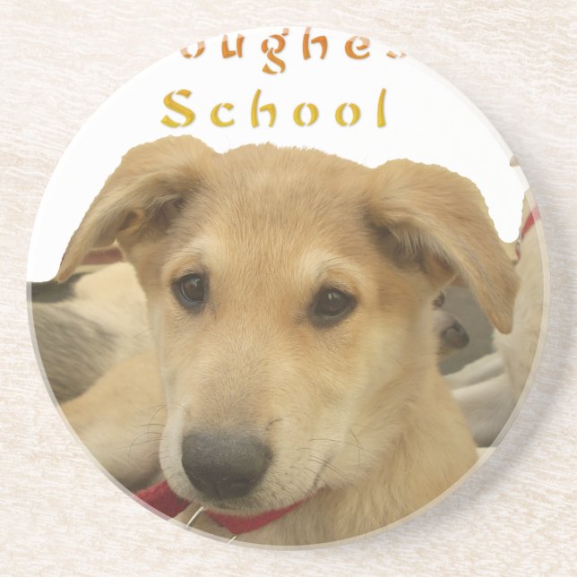Golden Wisdom: A Hund's-Öga View of Life's School Underlägg (Framsidan)