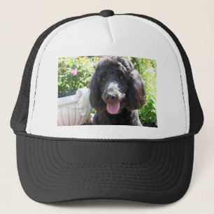 GoldenDoodle Abby 1 Keps