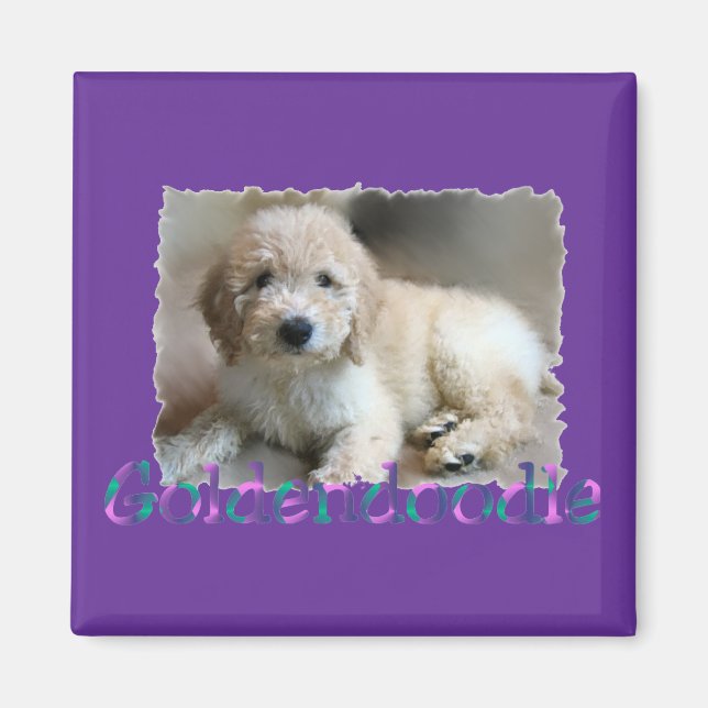 Goldendoodle Älskare Gifts Magnet (Framsidan)