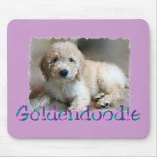 Goldendoodle älskaregåvor musmatta