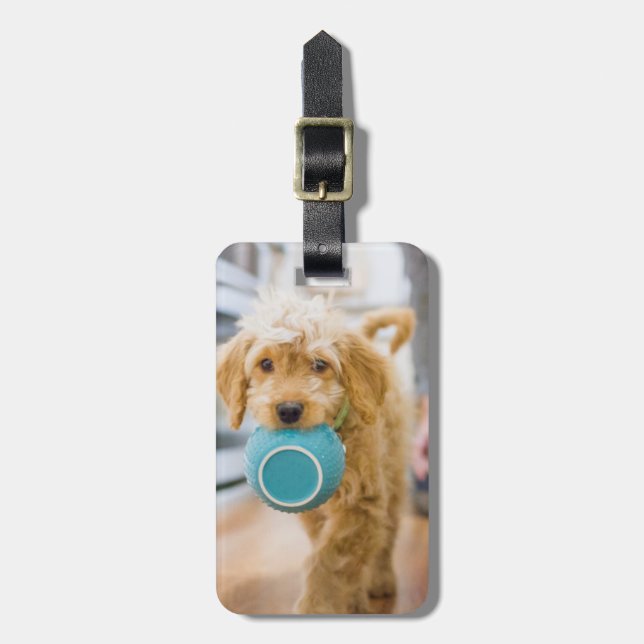 Goldendoodle bärare Tornbärare Bowl Bagagebricka (Vertikal Framsida)