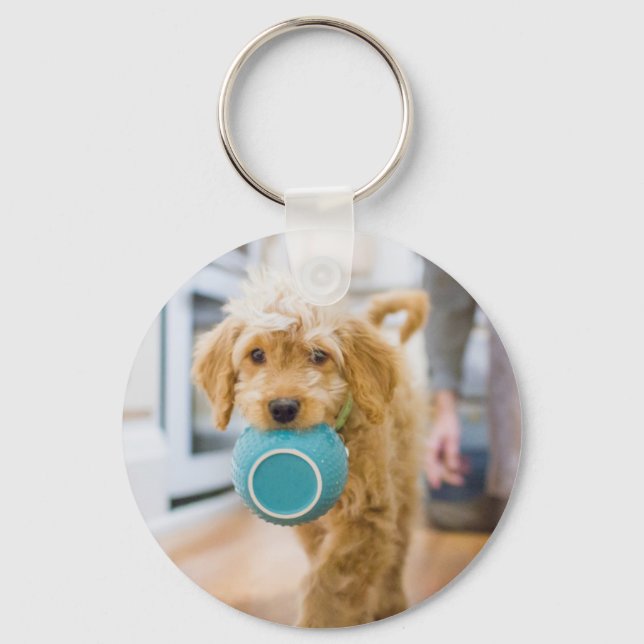 Goldendoodle Caraking Dinner Bowl Nyckelring (Framsida)